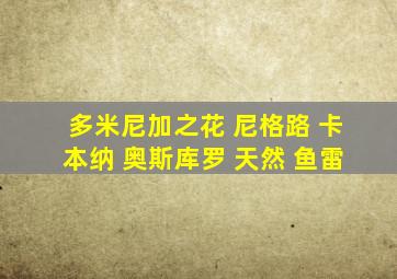 多米尼加之花 尼格路 卡本纳 奥斯库罗 天然 鱼雷